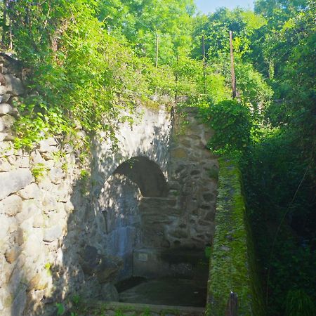 Puig Roja Del Roser Prats-de-Mollo-la-Preste Ngoại thất bức ảnh